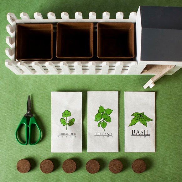 Kit de mini hortinha para apartamento