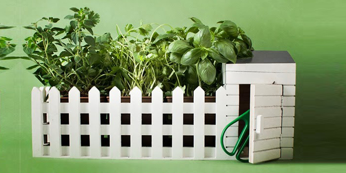 Mini hortinha para apartamento